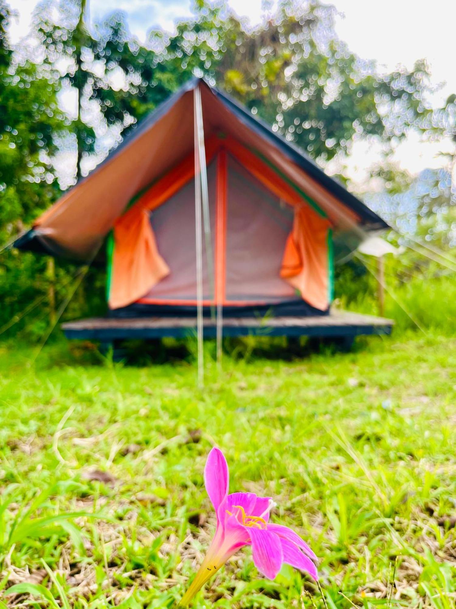 Ecoxplora-Zona De Camping คาร์ดิน ภายนอก รูปภาพ