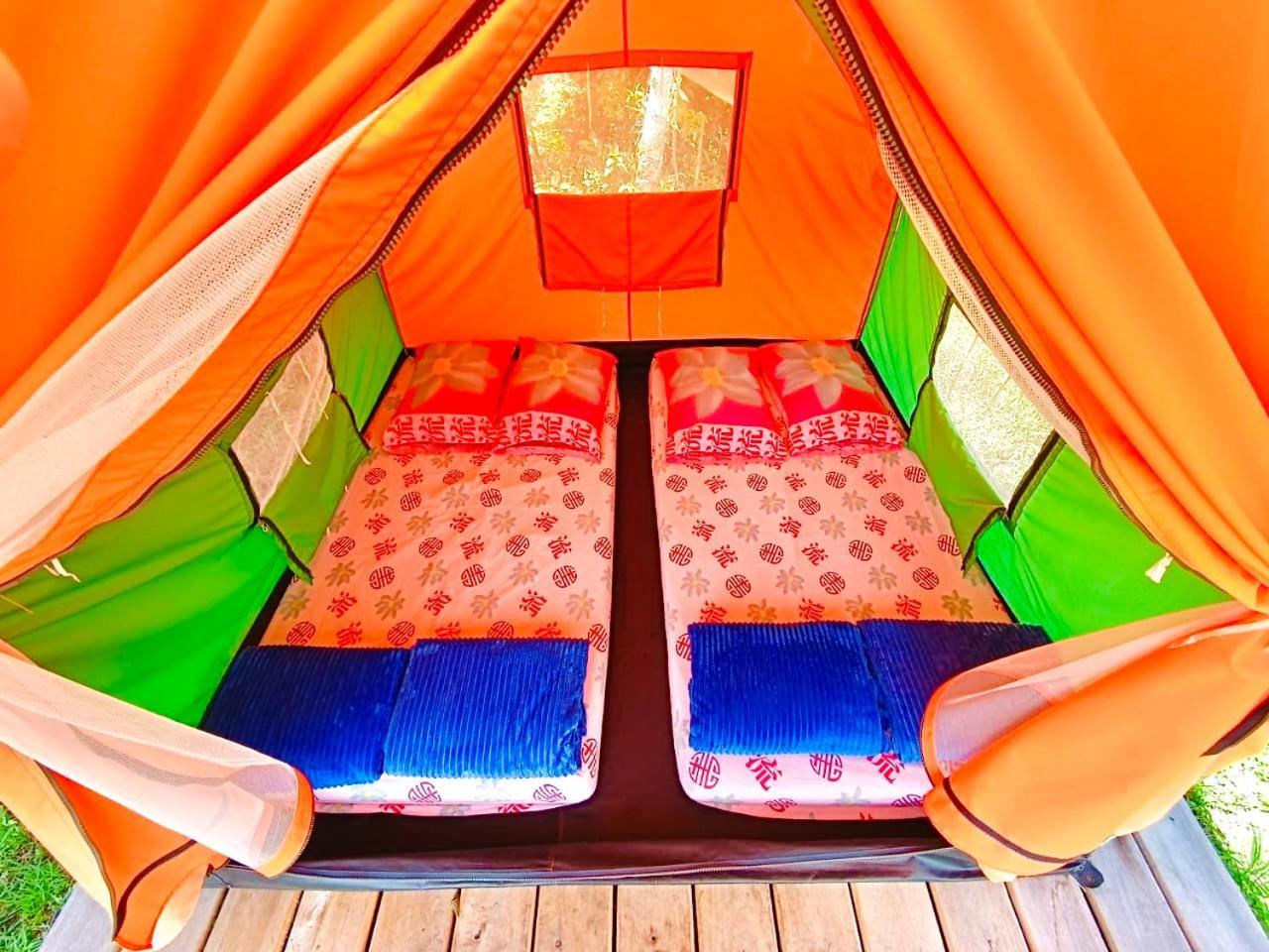 Ecoxplora-Zona De Camping คาร์ดิน ภายนอก รูปภาพ